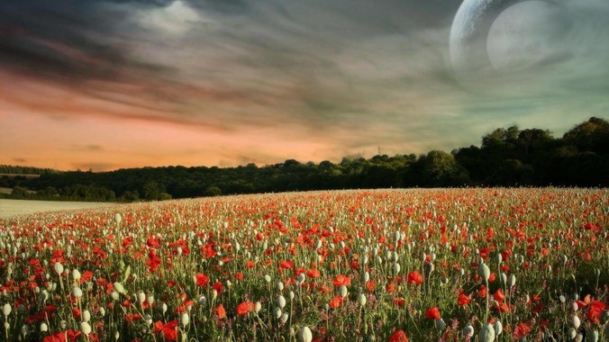 你觉得《捞女游戏》会因为不可抗力而被下架吗？